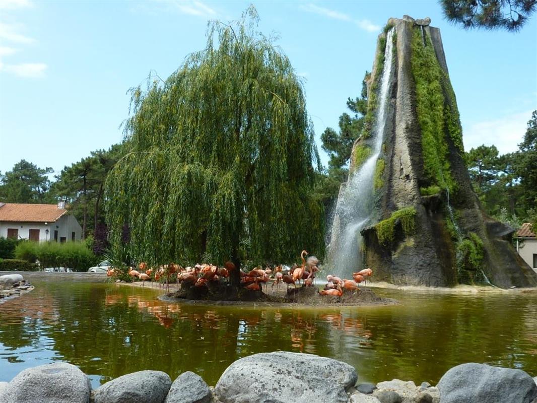 Le Zoo de la Palmyre en