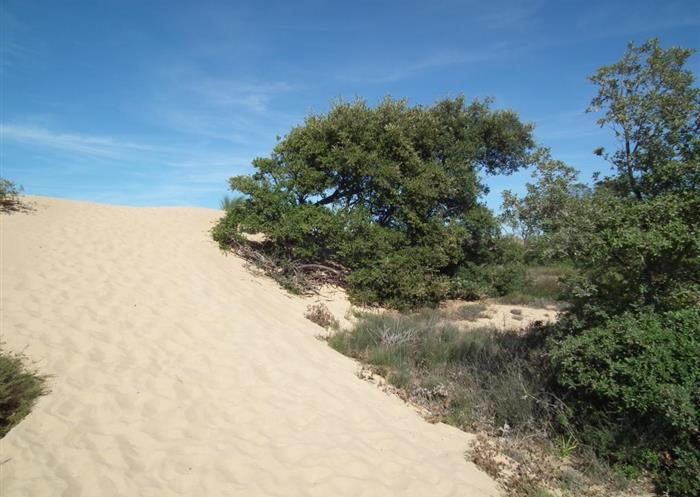 Saint Georges d'Oleron