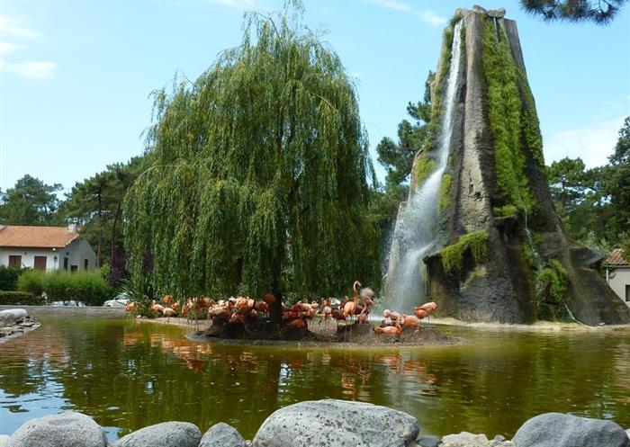 Le Zoo de la Palmyre