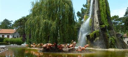 Le Zoo de la Palmyre