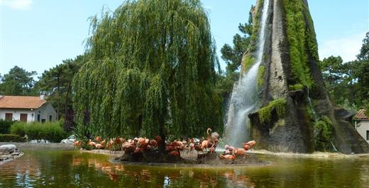 Le Zoo de la Palmyre