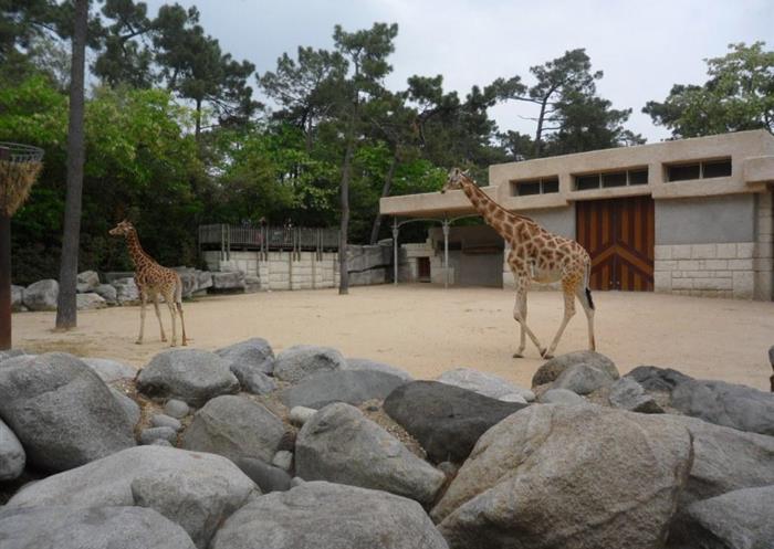 Le Zoo de la Palmyre