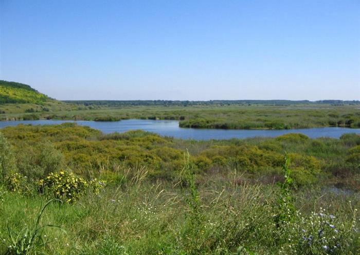 Les Marais d'Oléron