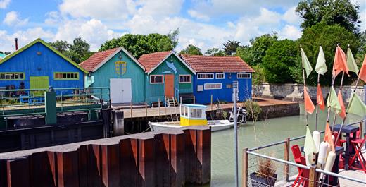 Ile d'Oléron Salines