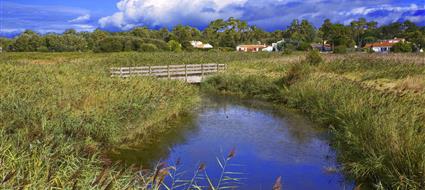 Les Marais d'Oléron
