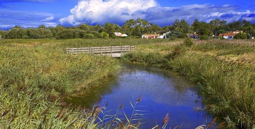 Les Marais d'Oléron