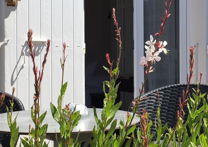 chambre double avec terrasse