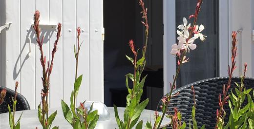 chambre double avec terrasse