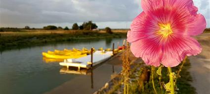 hotel des bains oleron